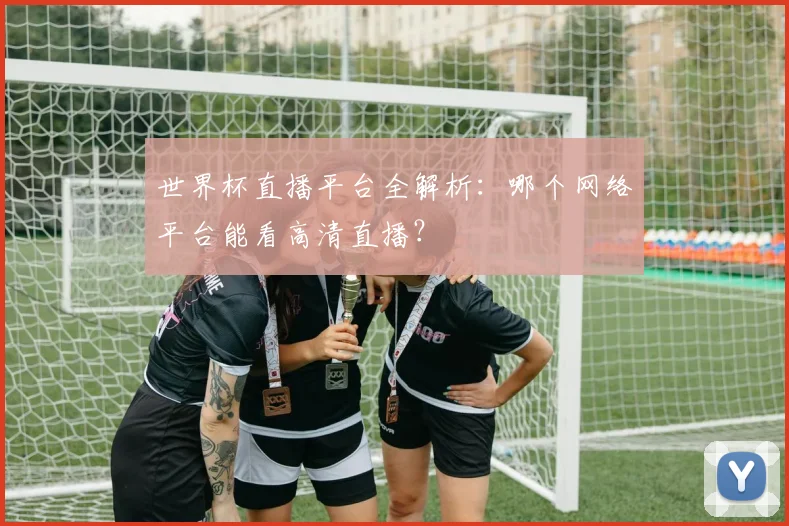 世界杯直播平台全解析：哪个网络平台能看高清直播？