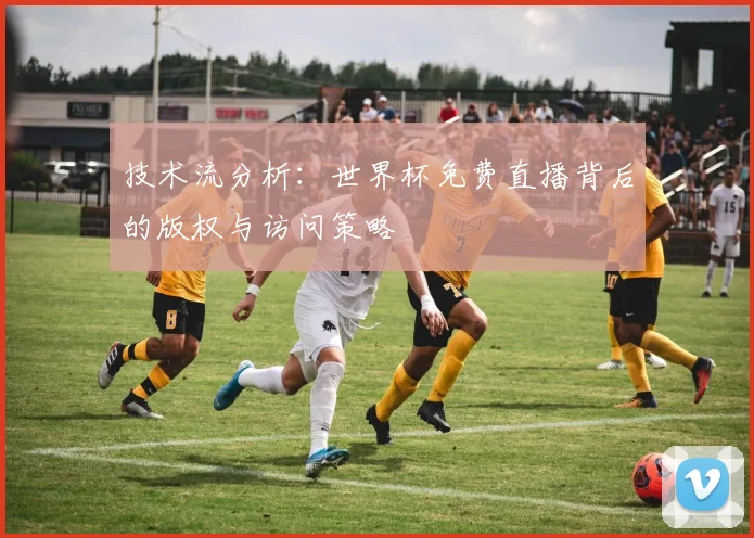 技术流分析:世界杯免费直播背后的版权与访问策略