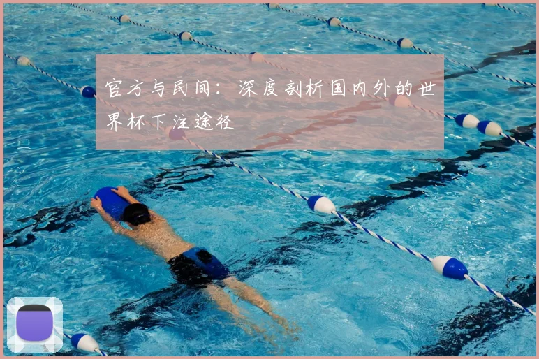 官方与民间：深度剖析国内外的世界杯下注途径