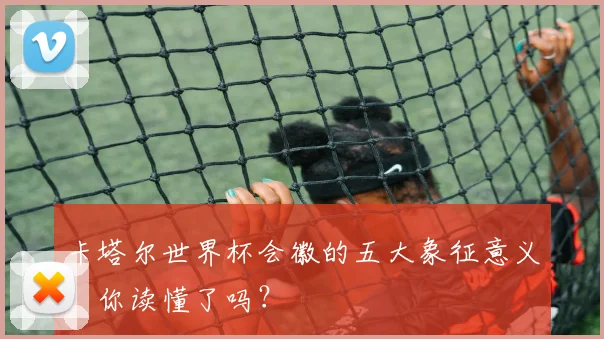 卡塔尔世界杯会徽的五大象征意义,你读懂了吗?