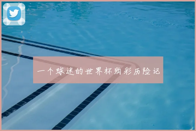 一个球迷的世界杯购彩历险记