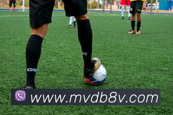 开云综合app官网登录APP 封面图